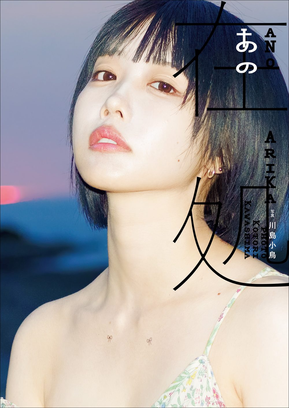 あの写真集 あの在処 試し読み1